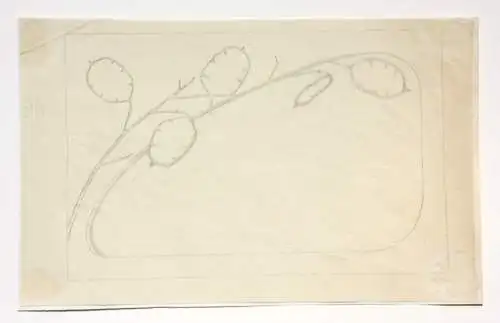 Jugendstil-Ornament, Silberblatt, Lunaria, Entwurf, Bleistiftzeichnung, um 1900