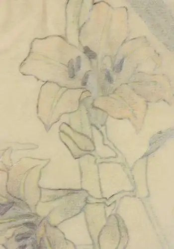 Kraniche mit Lilien, aquarellierte Zeichnung auf Transparentpapier, 19. Jh.