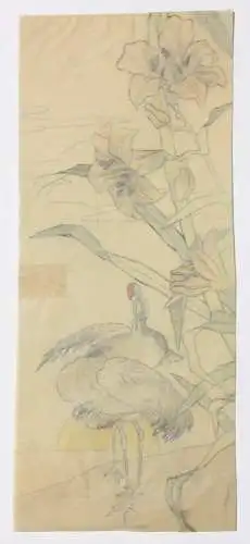 Kraniche mit Lilien, aquarellierte Zeichnung auf Transparentpapier, 19. Jh.