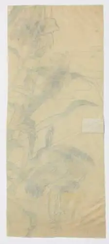 Kraniche mit Lilien, aquarellierte Zeichnung auf Transparentpapier, 19. Jh.