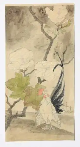 Hahn mit Hibiskusblüten, aquarellierte Zeichnung auf Transparentpapier, 19. Jh.
