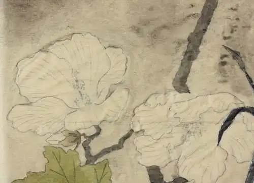 Hahn mit Hibiskusblüten, aquarellierte Zeichnung auf Transparentpapier, 19. Jh.