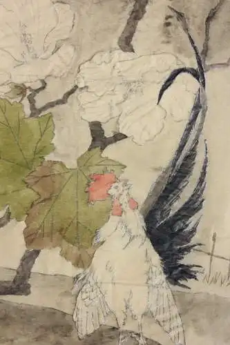 Hahn mit Hibiskusblüten, aquarellierte Zeichnung auf Transparentpapier, 19. Jh.