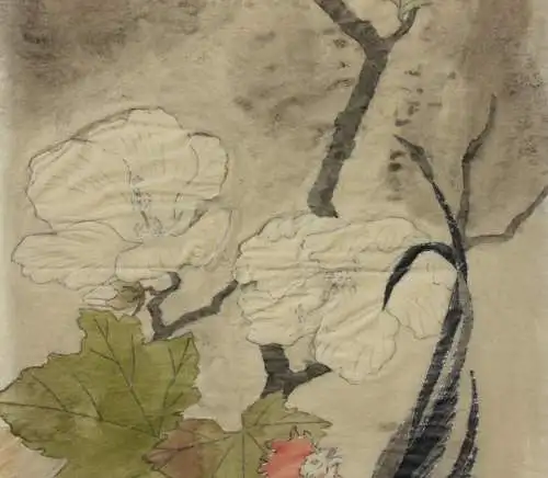 Hahn mit Hibiskusblüten, aquarellierte Zeichnung auf Transparentpapier, 19. Jh.