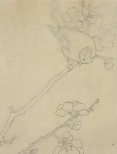 Geisha mit Musikinstrument, Bleistiftzeichnung auf Transparentpapier, 19. Jh.