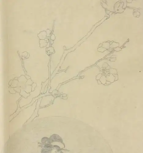 Geisha mit Musikinstrument, Bleistiftzeichnung auf Transparentpapier, 19. Jh.