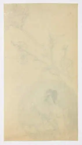 Geisha mit Musikinstrument, Bleistiftzeichnung auf Transparentpapier, 19. Jh.