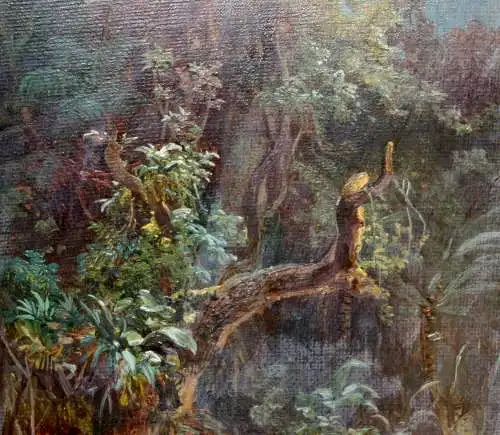 Expedition auf einem Fluss im tropischen Urwald Afrikas, Ölstudie, 19. Jh.