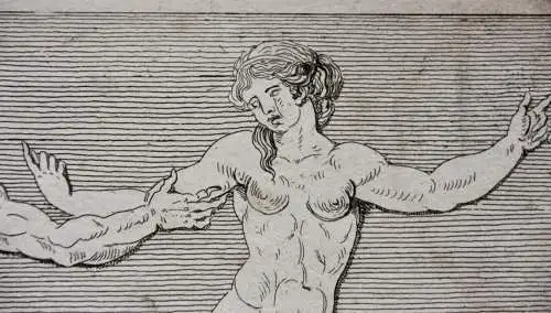 Mythologische Kampfszenen mit Stier und Satyrn, 2 Radierungen, Klassizismus 1818