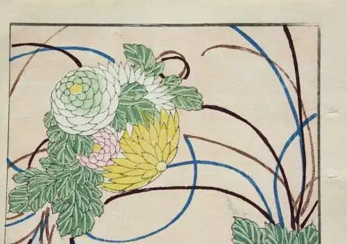 Kamisaka Sekka/Furuya Kôrin, Holzschnitt, Seite aus Shin Bijutsukai, Blumen 1901