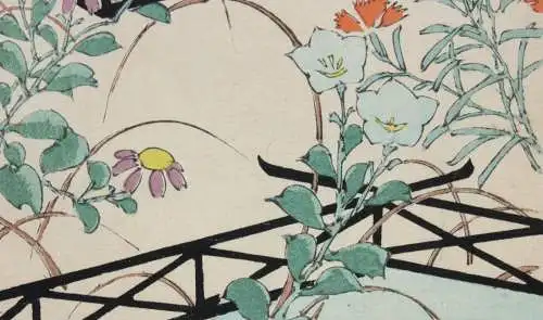 Kamisaka Sekka/Furuya Kôrin, Holzschnitt, Seite aus Shin Bijutsukai, Blumen 1901