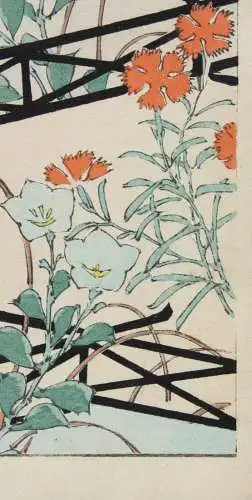 Kamisaka Sekka/Furuya Kôrin, Holzschnitt, Seite aus Shin Bijutsukai, Blumen 1901
