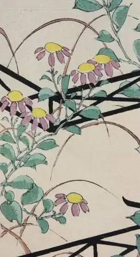 Kamisaka Sekka/Furuya Kôrin, Holzschnitt, Seite aus Shin Bijutsukai, Blumen 1901