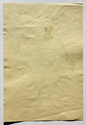 Teddy Rossi-Turai, monogrammiertes Aquarell, Entwurf für ein Revue-Kostüm Fliege