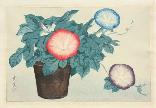 Inuzuka Taisui (tätig 1920er Jahre), Nishiki-e, Ôban, Kacho-e, Morning Glory