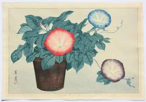 Inuzuka Taisui (tätig 1920er Jahre), Nishiki-e, Ôban, Kacho-e, Morning Glory