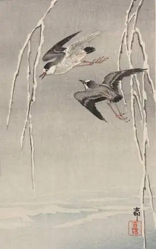 Ohara Shoson (Koson) (1877-1945), Nishiki-e, Kacho-e, fliegende Seevögel, Meiji