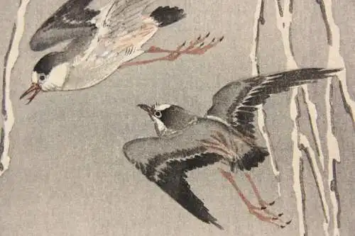 Ohara Shoson (Koson) (1877-1945), Nishiki-e, Kacho-e, fliegende Seevögel, Meiji