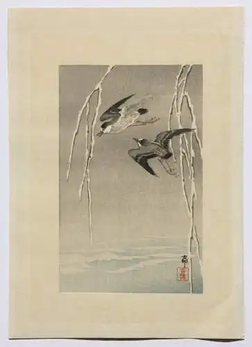 Ohara Shoson (Koson) (1877-1945), Nishiki-e, Kacho-e, fliegende Seevögel, Meiji