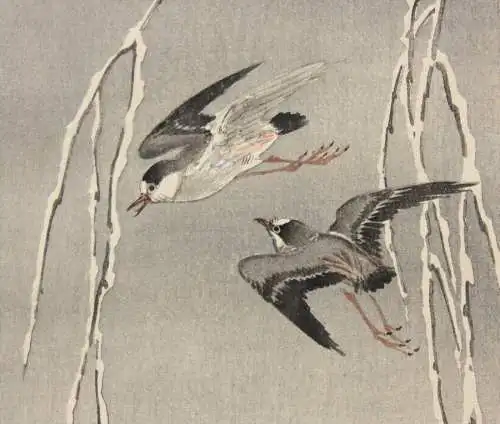 Ohara Shoson (Koson) (1877-1945), Nishiki-e, Kacho-e, fliegende Seevögel, Meiji