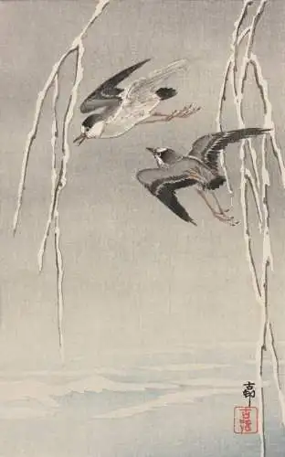 Ohara Shoson (Koson) (1877-1945), Nishiki-e, Kacho-e, fliegende Seevögel, Meiji