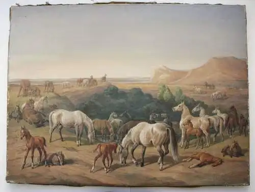 Wilde Pferde in weiter Landschaft, Gouache, süddeutscher Künstler, um 1800-1850