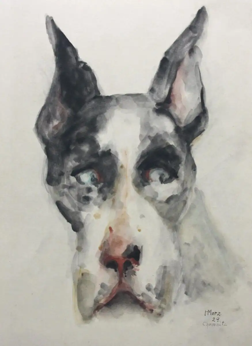 H. Merz, signiertes Aquarell, Tierstudie, Hund, Dänische Dogge, Great Dane, 1929 0