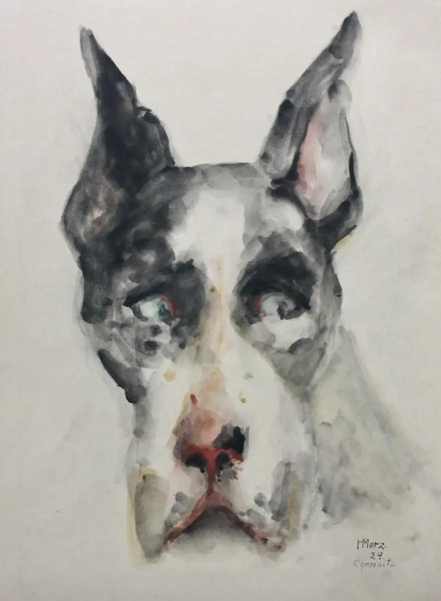 H. Merz, signiertes Aquarell, Tierstudie, Hund, Dänische Dogge, Great Dane, 1929 1