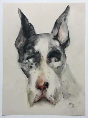 H. Merz, signiertes Aquarell, Tierstudie, Hund, Dänische Dogge, Great Dane, 1929