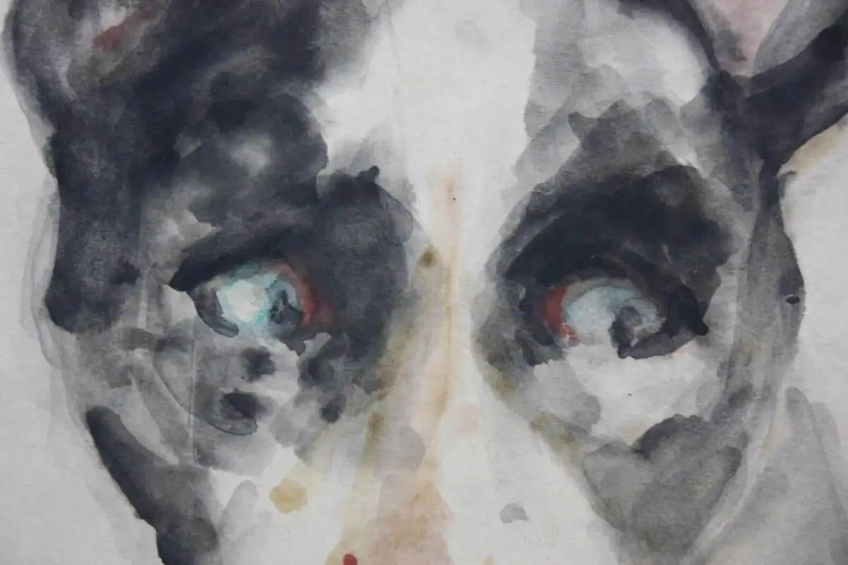 H. Merz, signiertes Aquarell, Tierstudie, Hund, Dänische Dogge, Great Dane, 1929 2