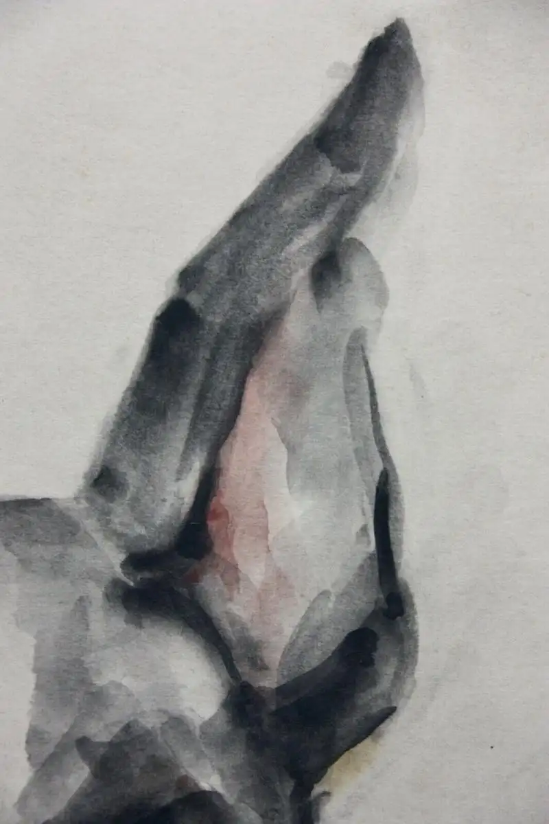 H. Merz, signiertes Aquarell, Tierstudie, Hund, Dänische Dogge, Great Dane, 1929 3