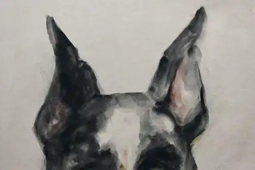 H. Merz, signiertes Aquarell, Tierstudie, Hund, Dänische Dogge, Great Dane, 1929