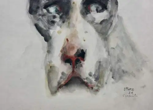 H. Merz, signiertes Aquarell, Tierstudie, Hund, Dänische Dogge, Great Dane, 1929