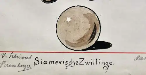 Otto Bromberger (1862-1943), sign. Aquarell, Karikatur, "Siamesische Zwillinge"