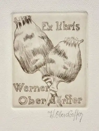 Werner Oberdörffer, signierte Radierung, Ex Libris des Künstlers, Mohn, um 1900