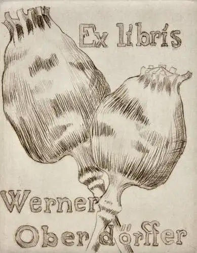 Werner Oberdörffer, signierte Radierung, Ex Libris des Künstlers, Mohn, um 1900