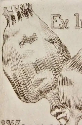 Werner Oberdörffer, signierte Radierung, Ex Libris des Künstlers, Mohn, um 1900