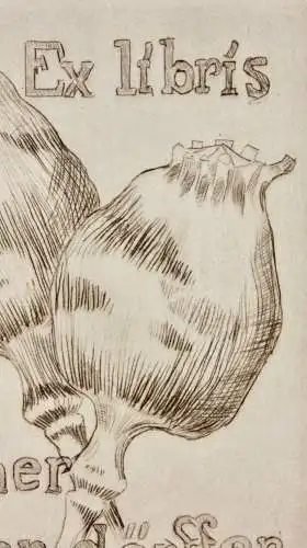 Werner Oberdörffer, signierte Radierung, Ex Libris des Künstlers, Mohn, um 1900