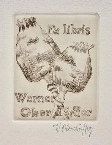 Werner Oberdörffer, signierte Radierung, Ex Libris des Künstlers, Mohn, um 1900