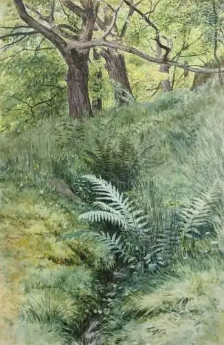 Sally Wiest (1866-1952), signiertes Aquarell, sommerliche Waldlandschaft, 1892