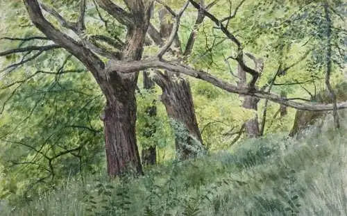 Sally Wiest (1866-1952), signiertes Aquarell, sommerliche Waldlandschaft, 1892