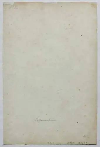 Sally Wiest (1866-1952), signiertes Aquarell, sommerliche Waldlandschaft, 1892