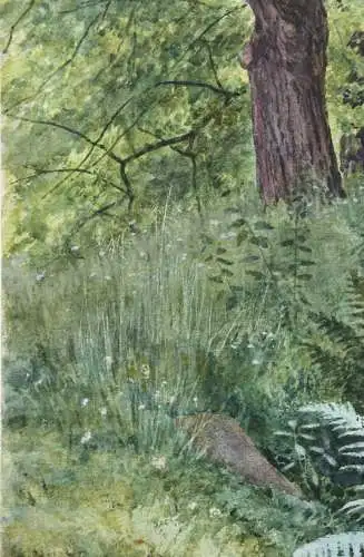 Sally Wiest (1866-1952), signiertes Aquarell, sommerliche Waldlandschaft, 1892