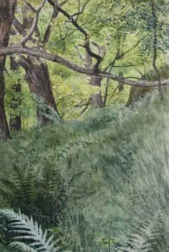 Sally Wiest (1866-1952), signiertes Aquarell, sommerliche Waldlandschaft, 1892