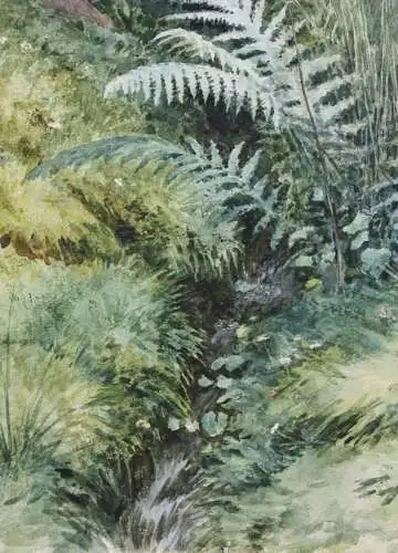 Sally Wiest (1866-1952), signiertes Aquarell, sommerliche Waldlandschaft, 1892