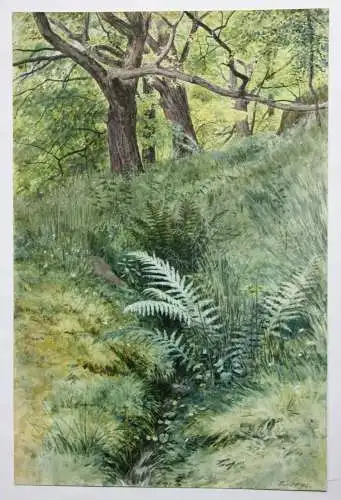 Sally Wiest (1866-1952), signiertes Aquarell, sommerliche Waldlandschaft, 1892