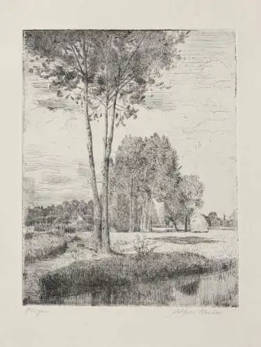 Alfred Russo (1868-1959), signierte Radierung, "Rügen", sommerliche Landschaft