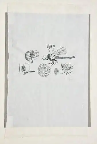Otto Rohse (1925-2016), signierter Holzstich, Fliege, Insekt mit Blüten, um 1960