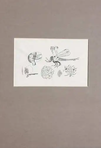 Otto Rohse (1925-2016), signierter Holzstich, Fliege, Insekt mit Blüten, um 1960