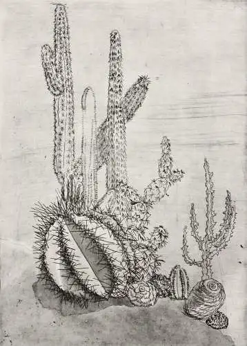Elgin Müller-Bollhagen, signierte Aquatinta Radierung Kakteen, Kaktus, Cactaceae
